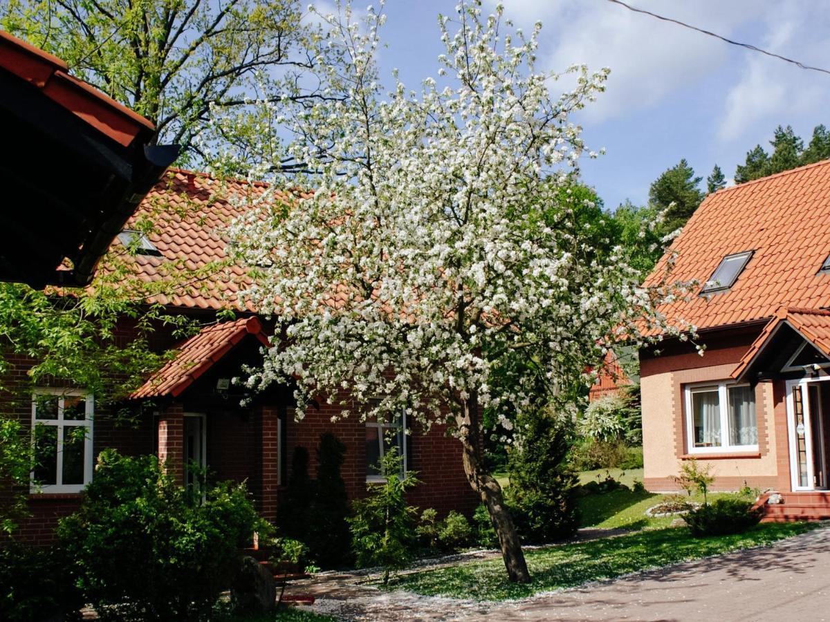 Gosciniec Pod Debem Villa Wilimy Luaran gambar